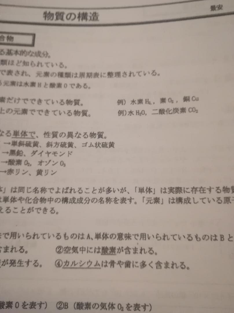 駿台　最新　景安先生　全分野の化学講義プリント　天然有機・高分子　鉄緑会　河合塾