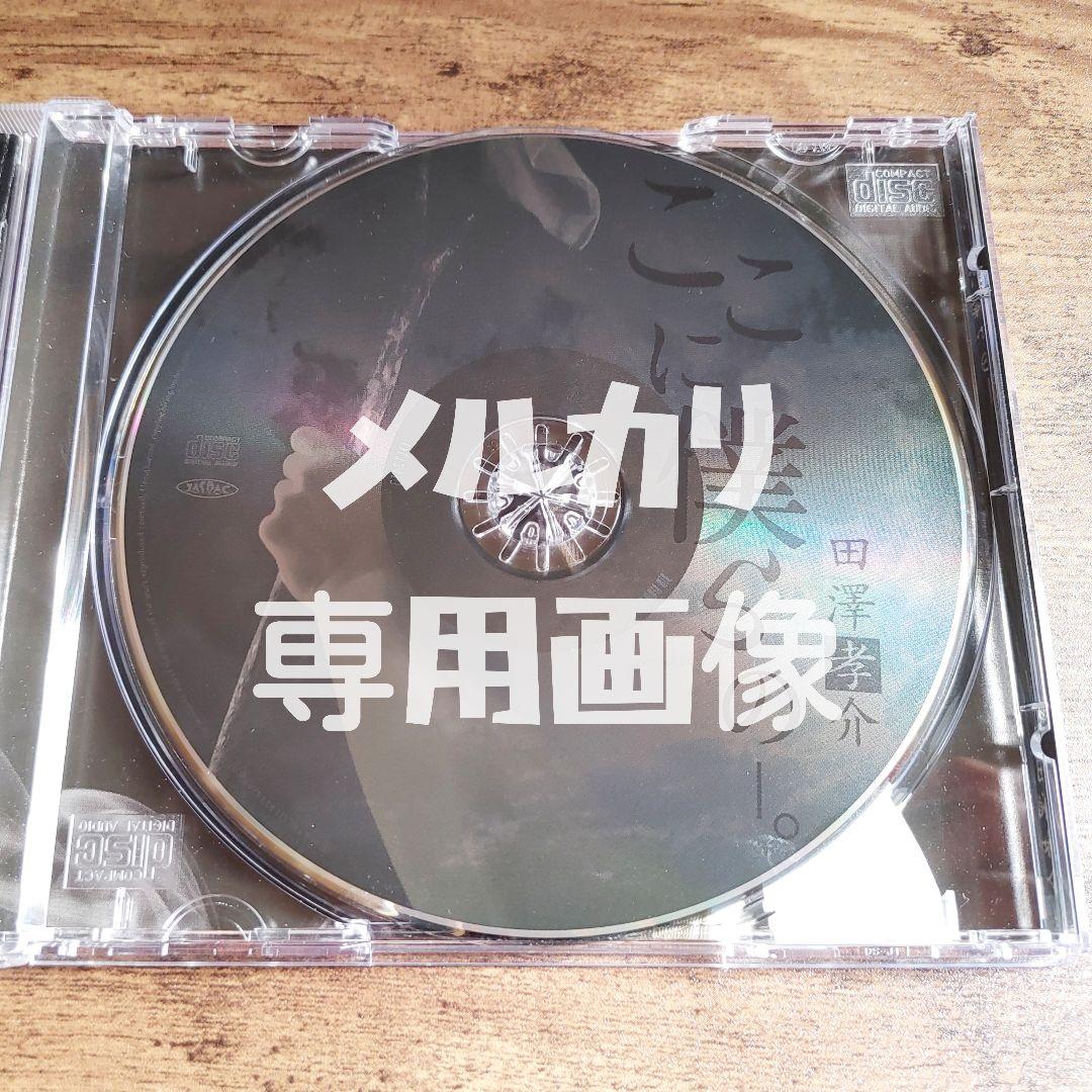 【レア】田澤考介『ここに僕らのー。』廃盤 Waivefuzzy knot