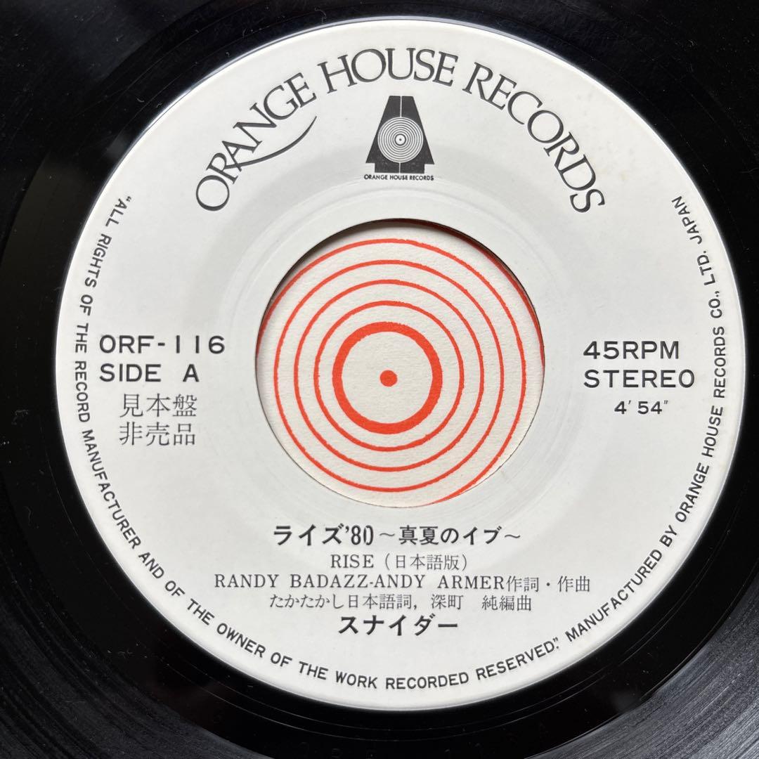 【見本盤】 ライズ80 スナイダー 深町純