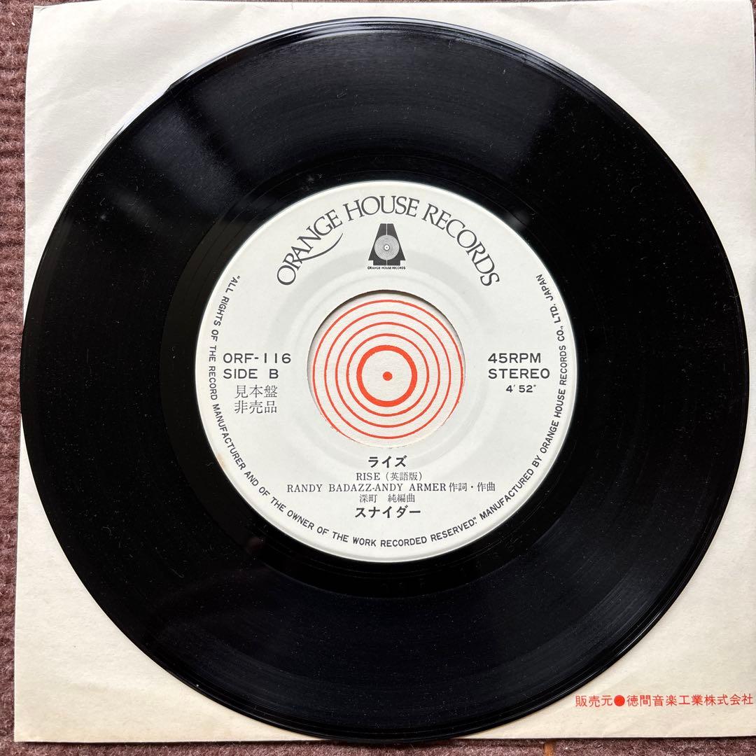 【見本盤】 ライズ80 スナイダー 深町純