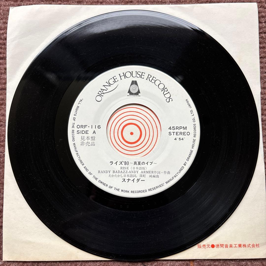 【見本盤】 ライズ80 スナイダー 深町純