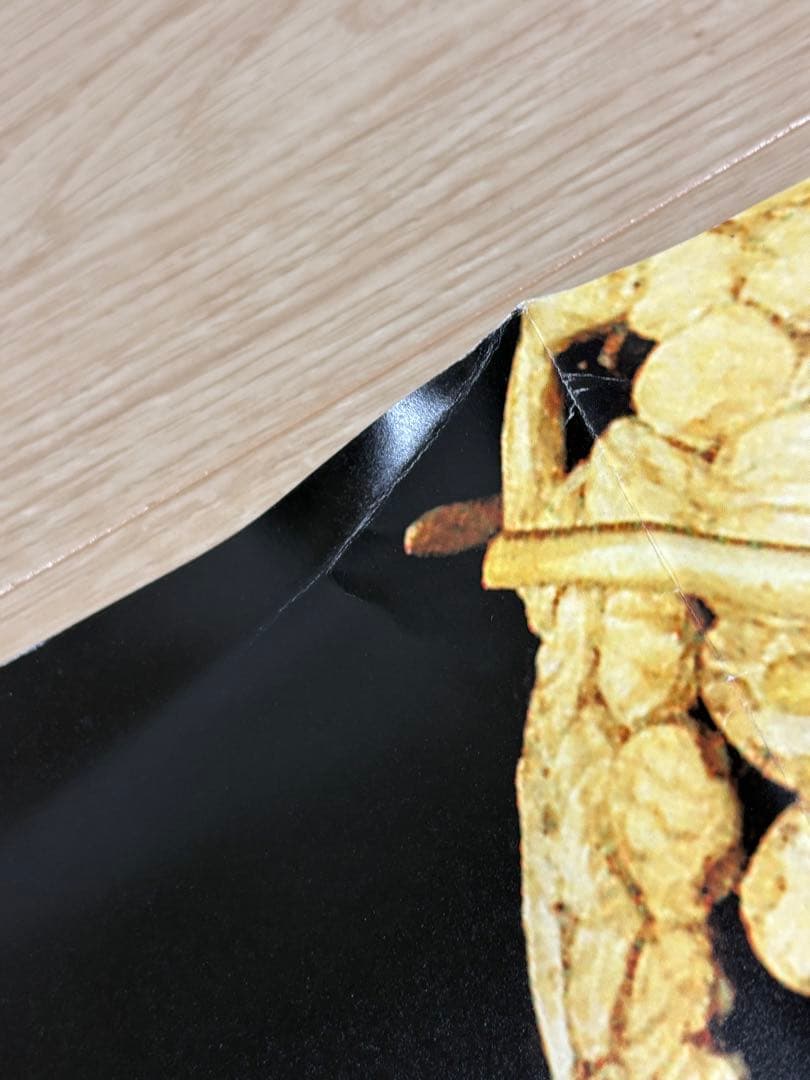 NIKE WHITE DUNK ポスター パンフレット　2004