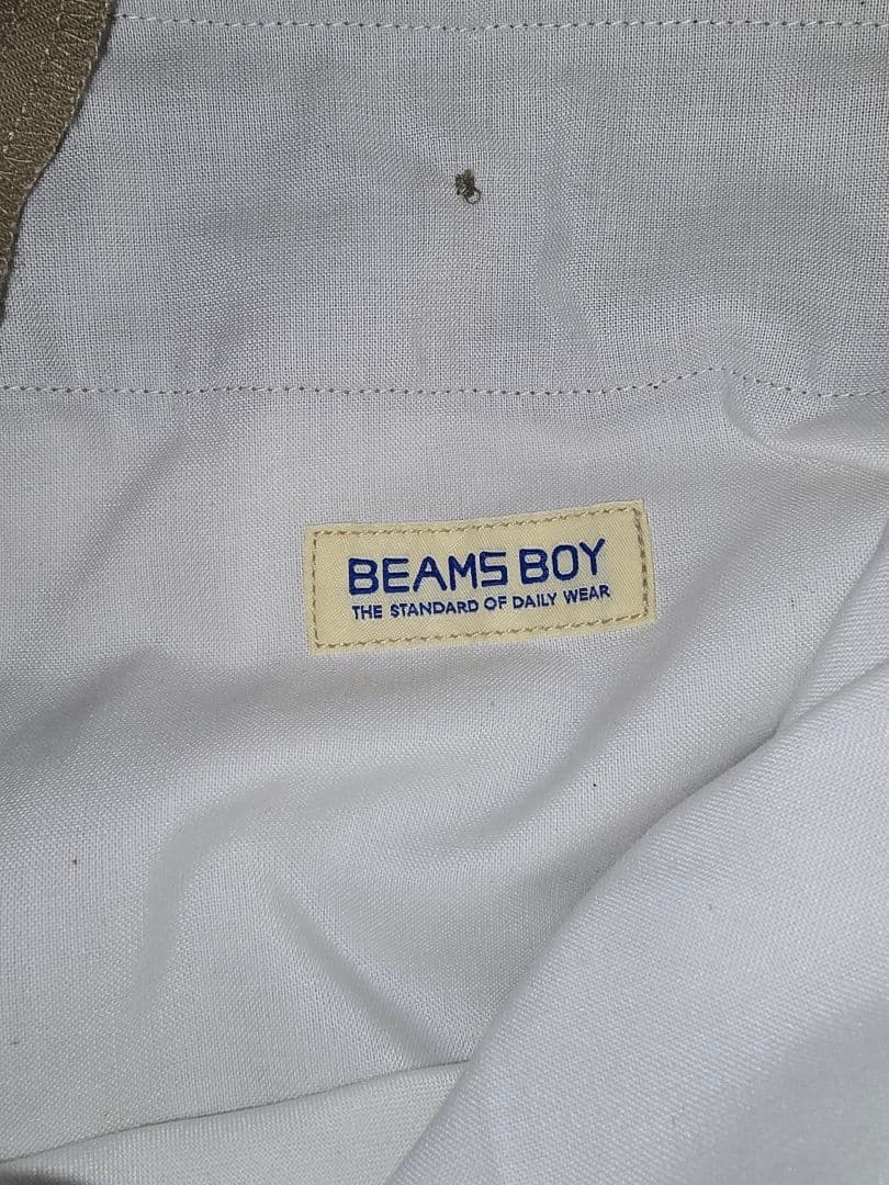 Dickies×BEAMSBOY／別注ワイド ダブルニーパンツ　29インチ