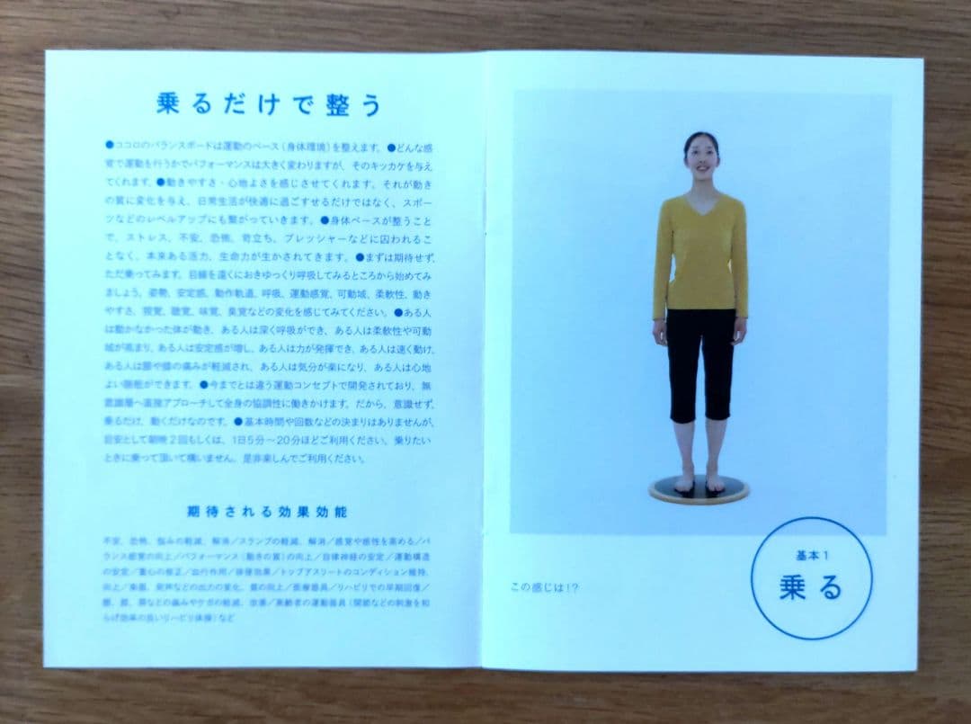 MARUMITSU マルミツ ココロのバランスボード