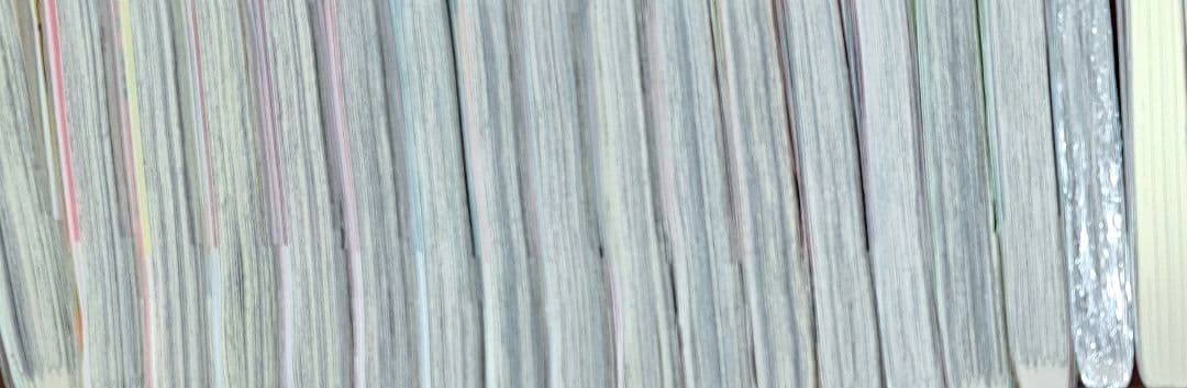 チェンソーマン 漫画 小説