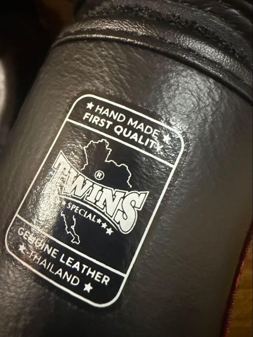 希少柄　ドラゴンシリーズ　TWINS ボクシンググローブ 12オンス