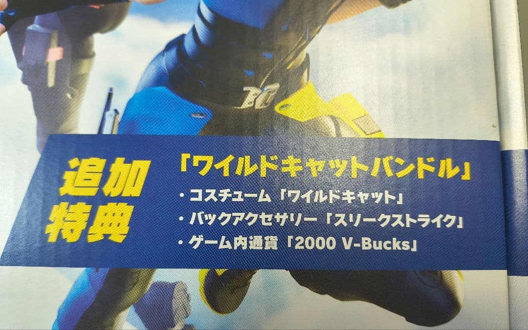 【コード未使用】Switch　フォートナイト　ワイルドキャット　バンドル