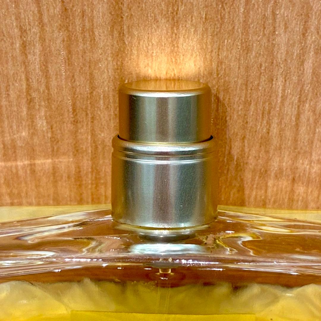 CHANEL シャネル 香水 ガブリエル 100ml