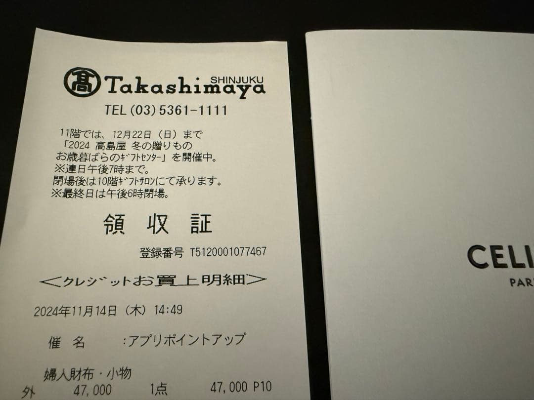 CELINE ラージ スナップ ヘアクリップ セリーヌ　ヘアピン アイボリー