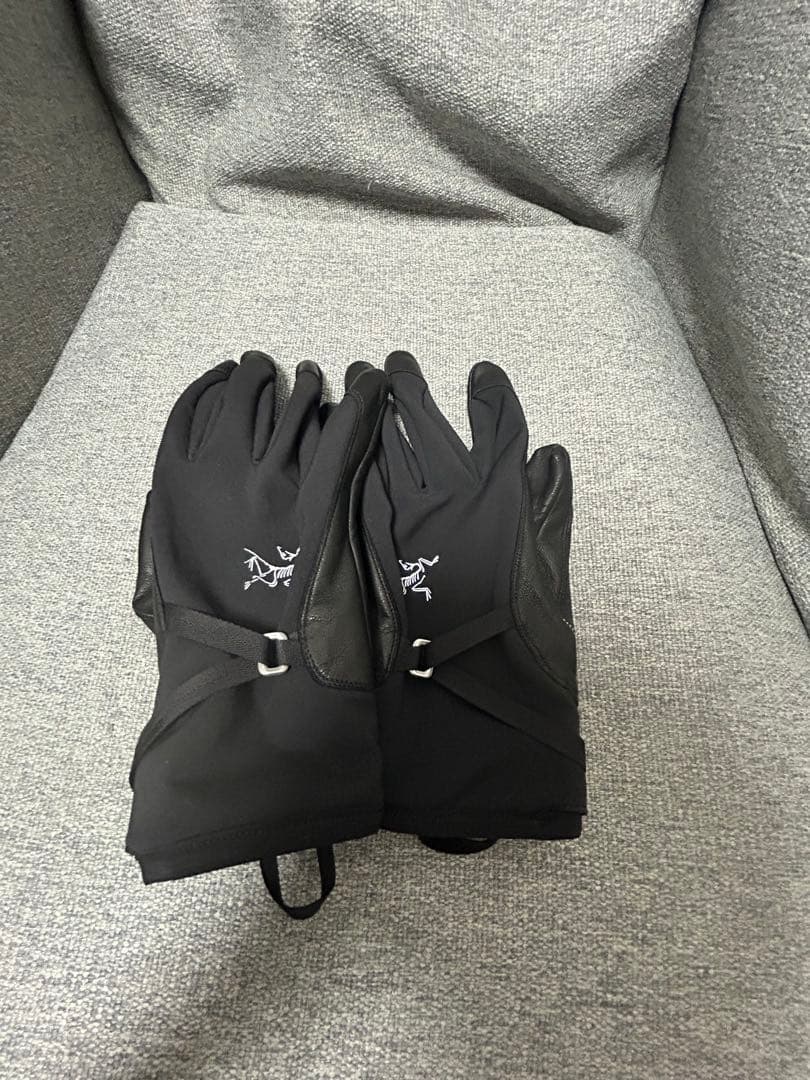 スキー・スノーボードアクセサリー Alpha SL Glove