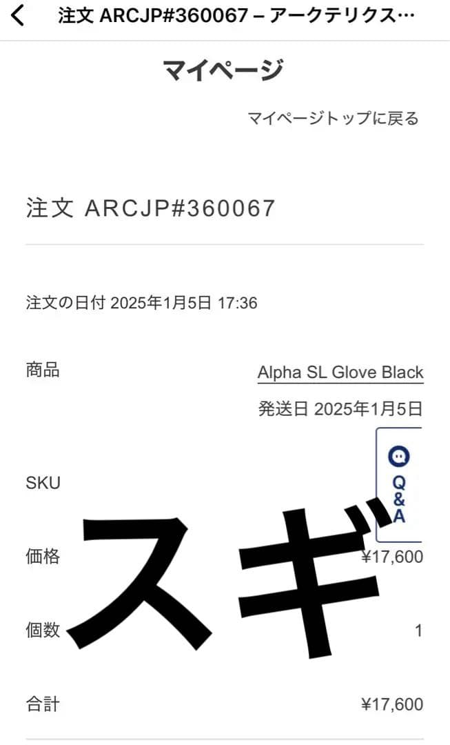 スキー・スノーボードアクセサリー Alpha SL Glove
