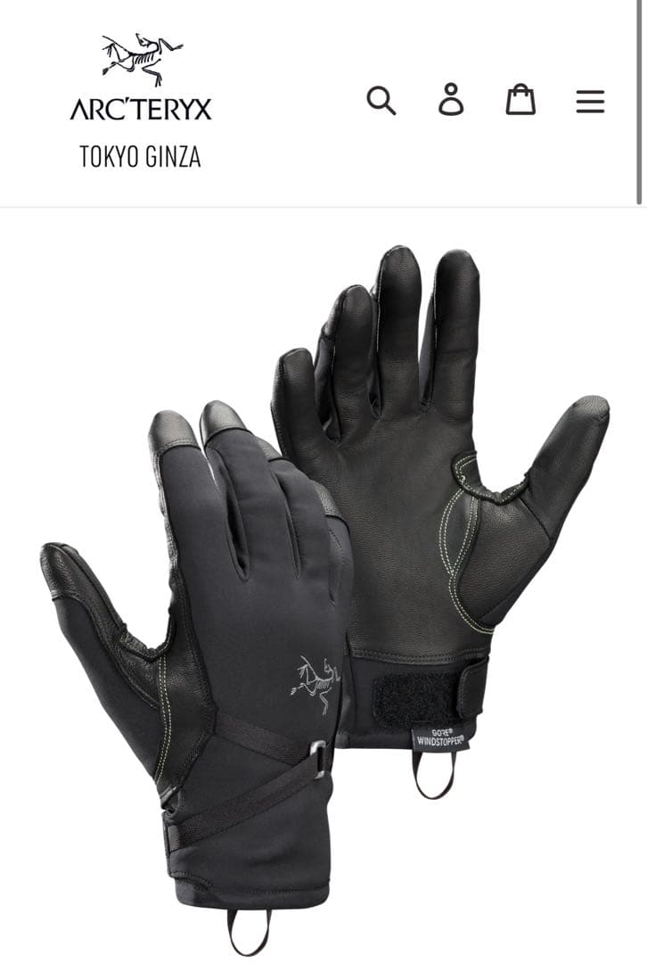 スキー・スノーボードアクセサリー Alpha SL Glove