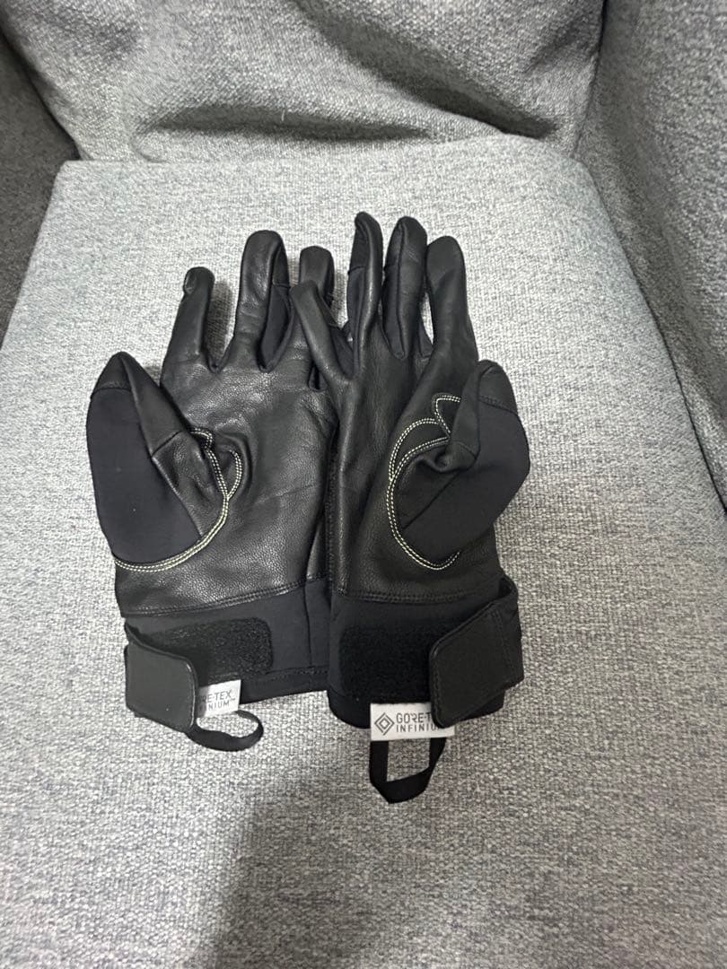 スキー・スノーボードアクセサリー Alpha SL Glove
