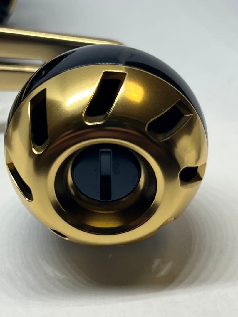 ダイワ DAIWA 21ソルティガ IC 100L 左ハンドル