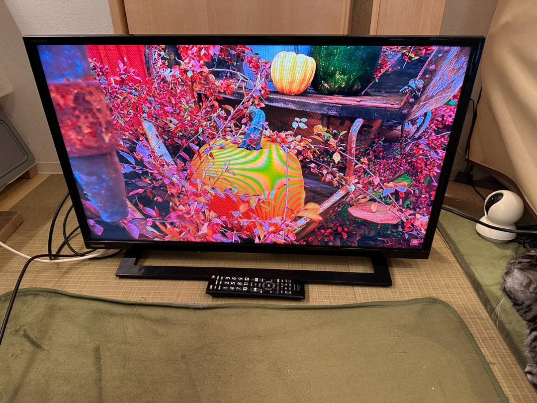 東芝 TOSHIBA　レグザ　テレビ 32型　32S22　2018年製　映り綺麗
