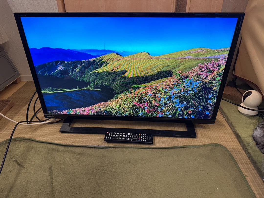 東芝 TOSHIBA　レグザ　テレビ 32型　32S22　2018年製　映り綺麗