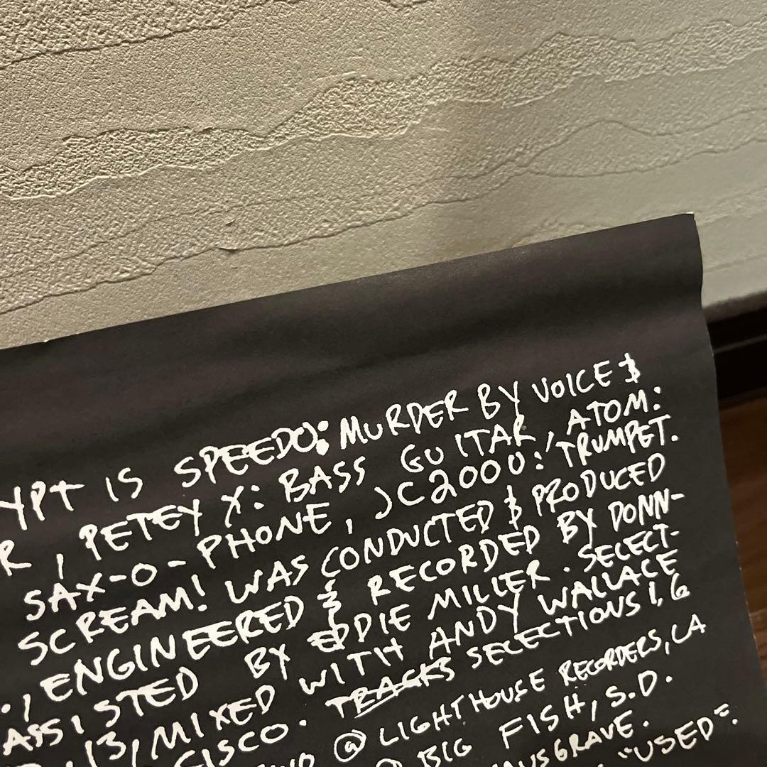 洋楽 ROCKET FROM THE CRYPT SCREAM, DRACULA