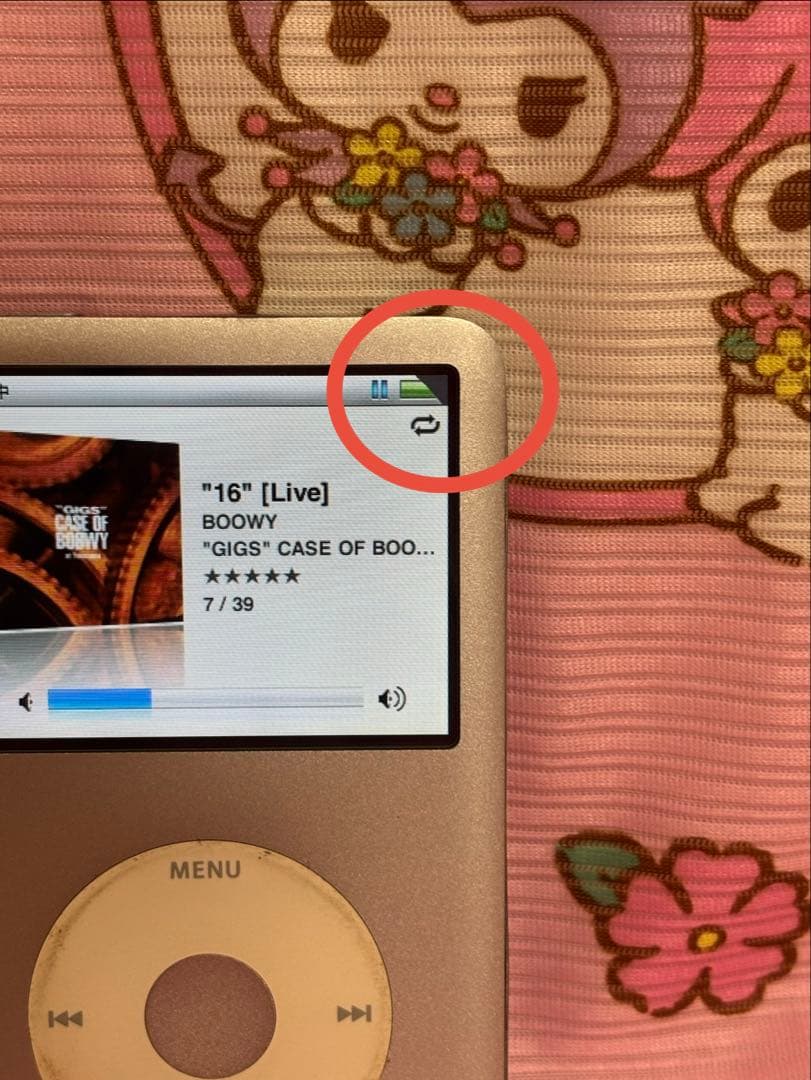 iPod Classic 120GB シルバー　本体のみ