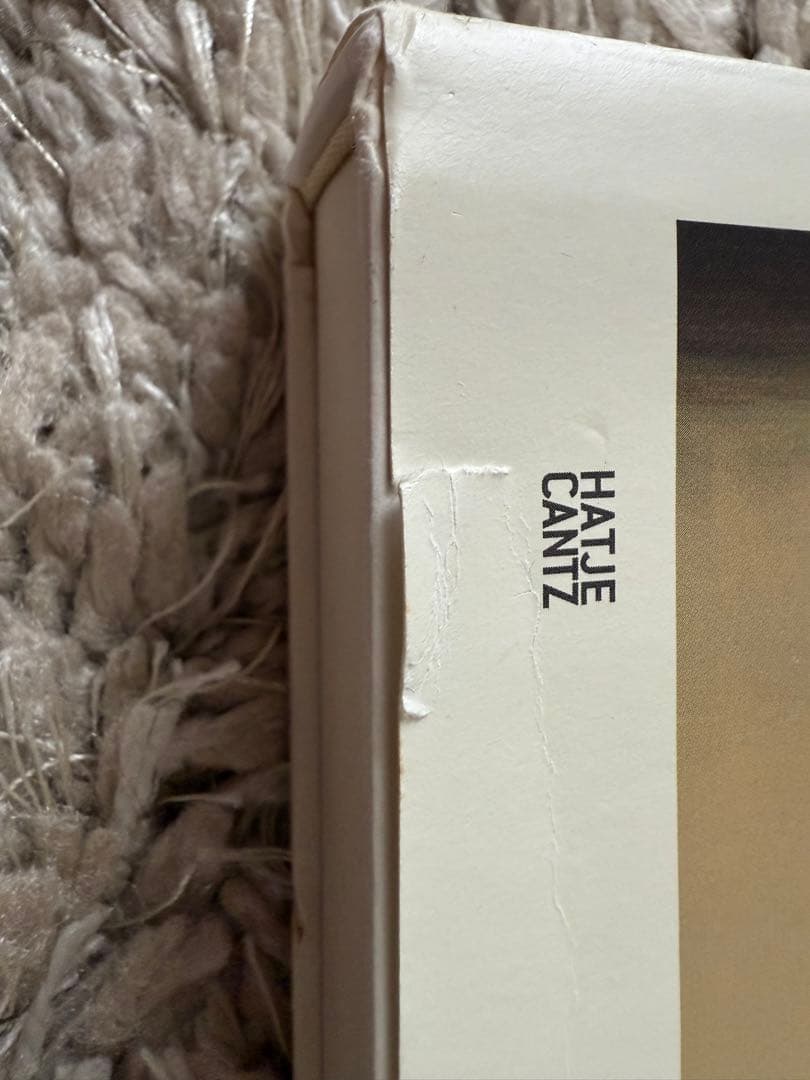 【最終値下げ】Michaël Borremans ミヒャエル・ボレマンス　画集