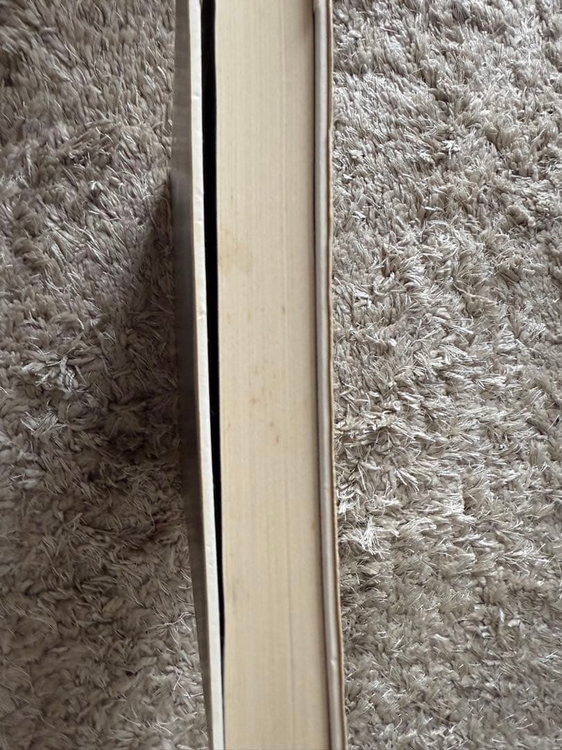 【最終値下げ】Michaël Borremans ミヒャエル・ボレマンス　画集