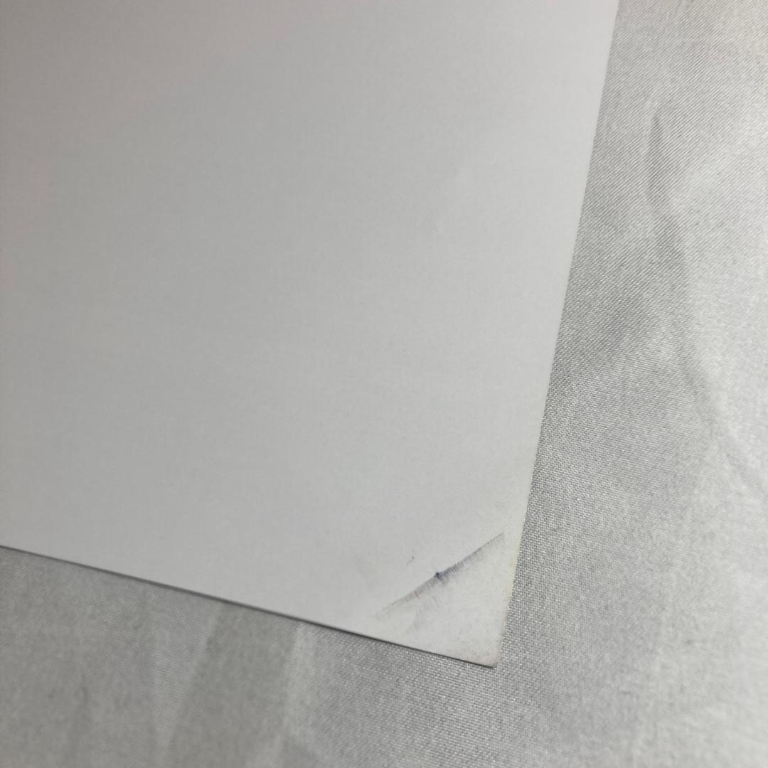 2点 グラディウス オリジン コレクション A4ポスター ダミージャケット 販促