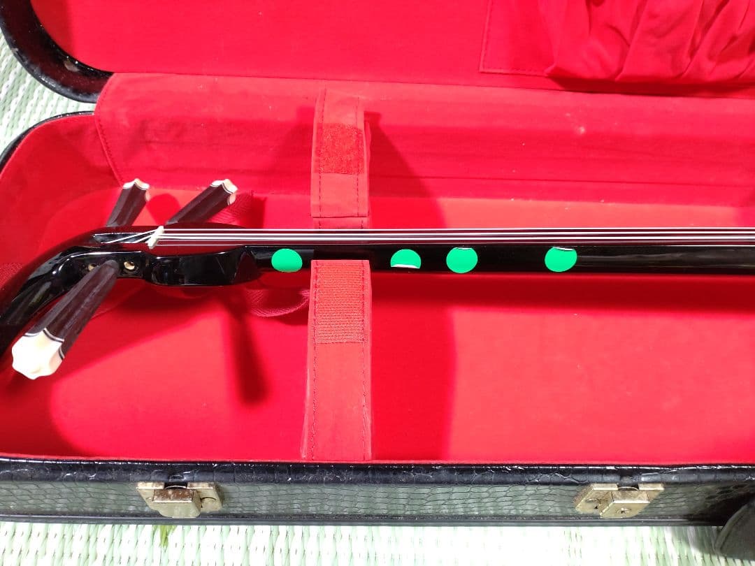 沖縄三線 本蛇皮 和楽器 ハードケース付き　おまけ本2冊