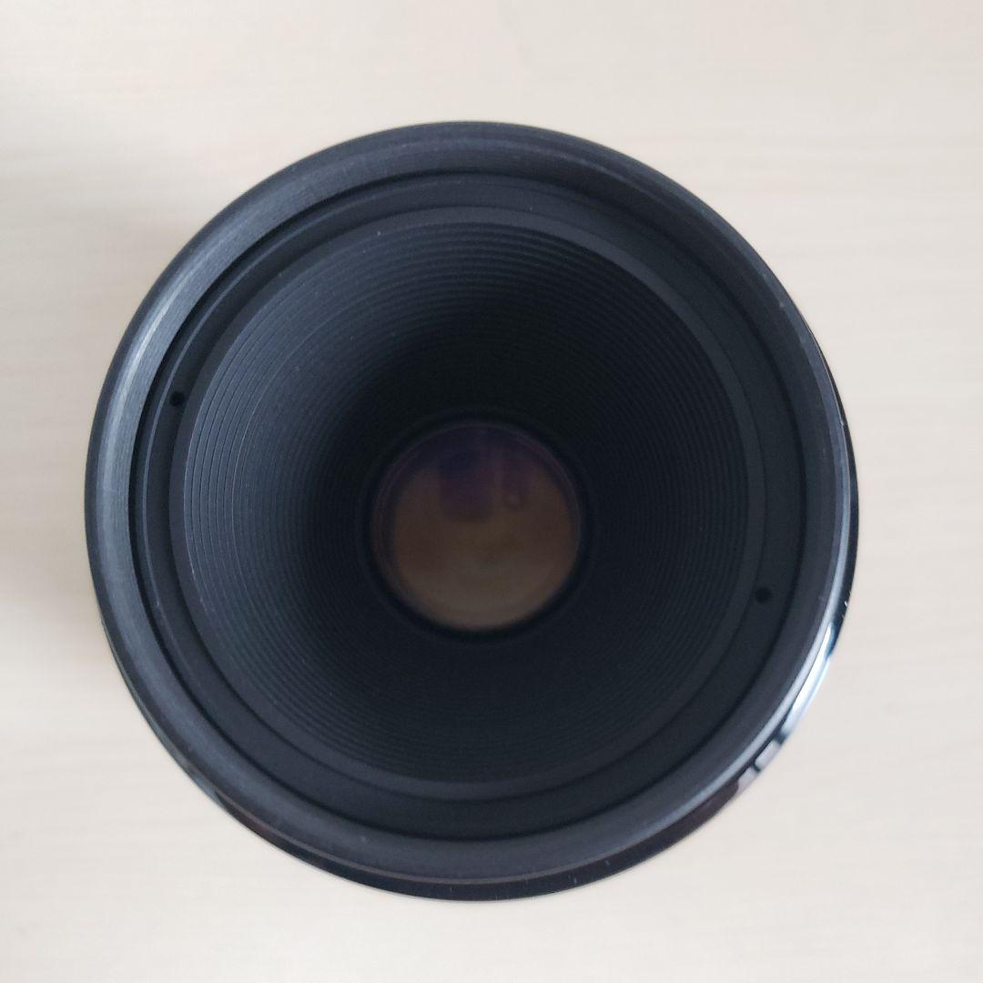 美品　キャノン EF 50mm F2.5 コンパクト マクロレンズ