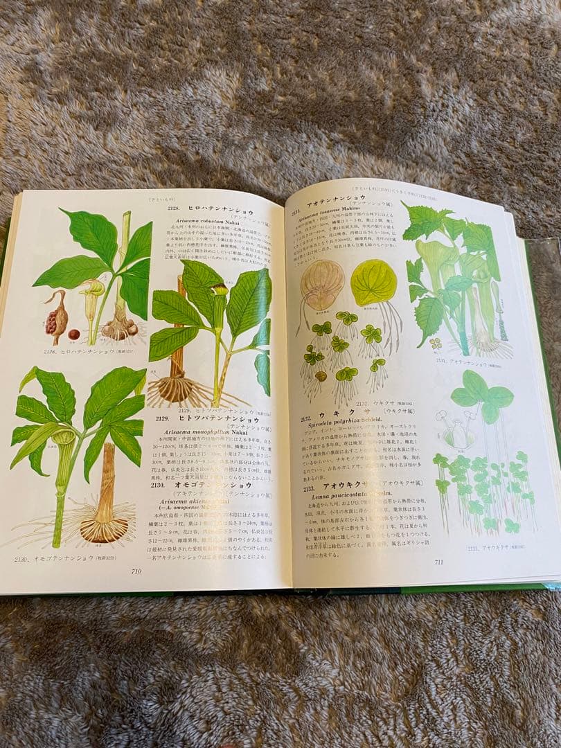 牧野富太郎　原色牧野植物大圖鑑