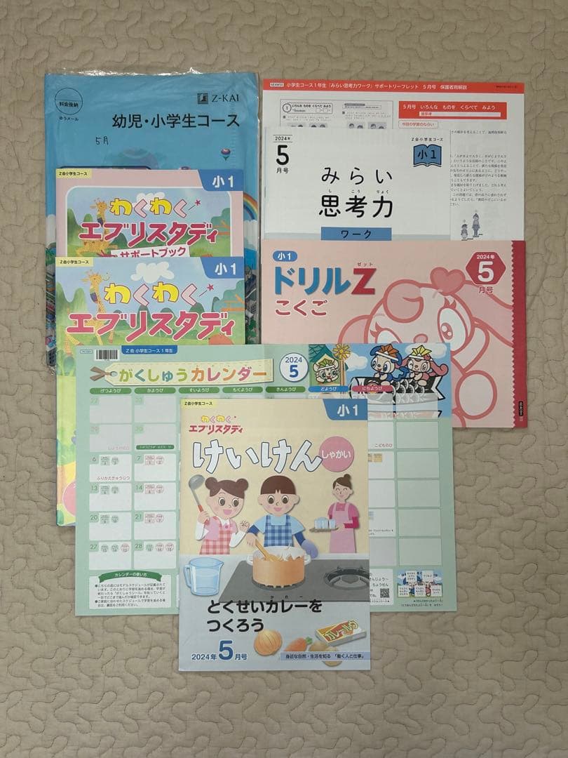 新品同様 最新　Z会 小学1年生 2024年度 1年分　みらい思考力あり