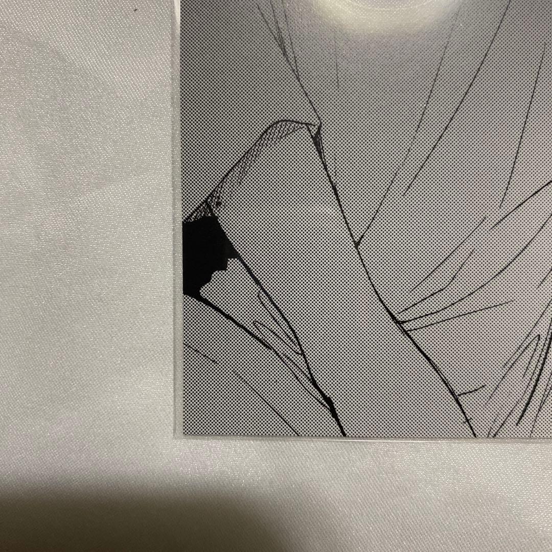 野良猫と狼　特典