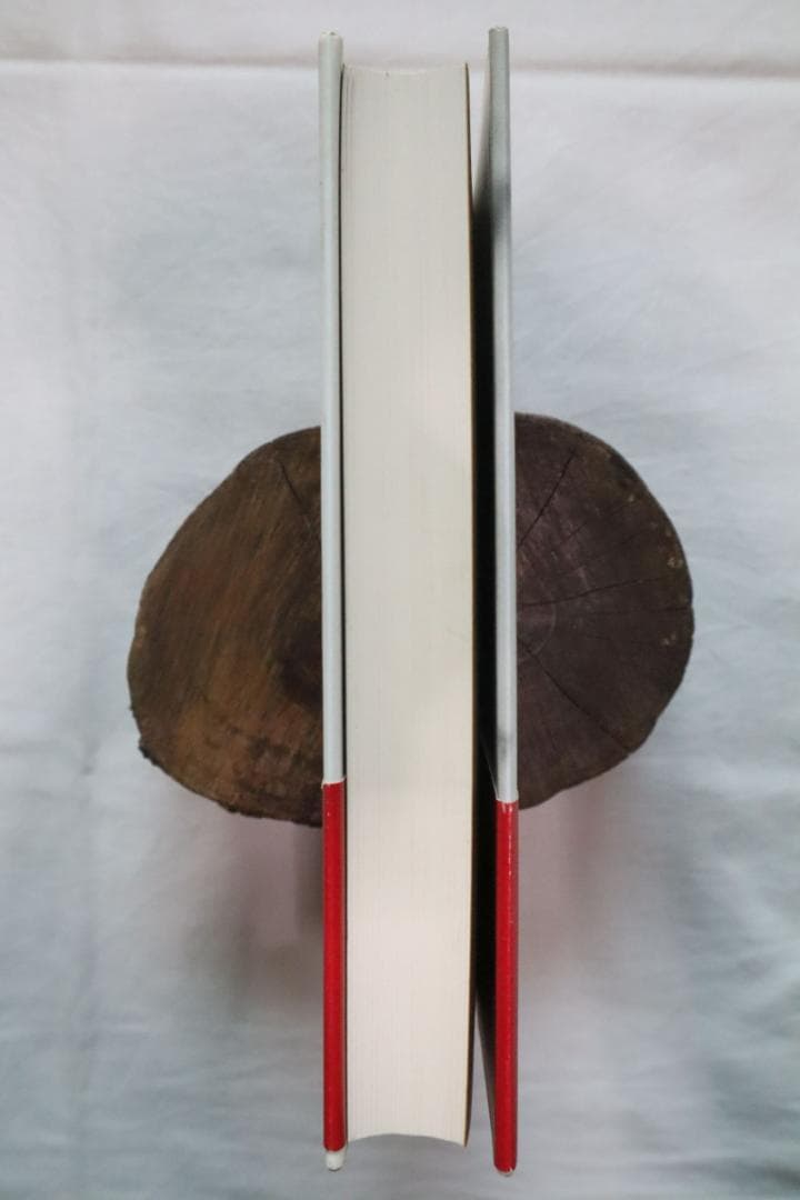 円の支配者 誰が日本経済を崩壊させたのか リチャード・A・ヴェルナー著　①