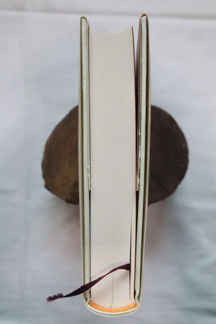 円の支配者 誰が日本経済を崩壊させたのか リチャード・A・ヴェルナー著　①