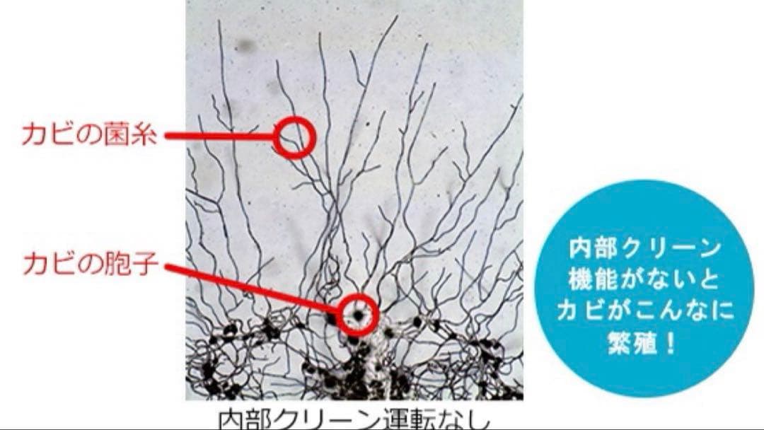 【新品】乾燥除湿機 ムーブアイ搭載 サラリ 三菱電機 MJ-M100SX-W