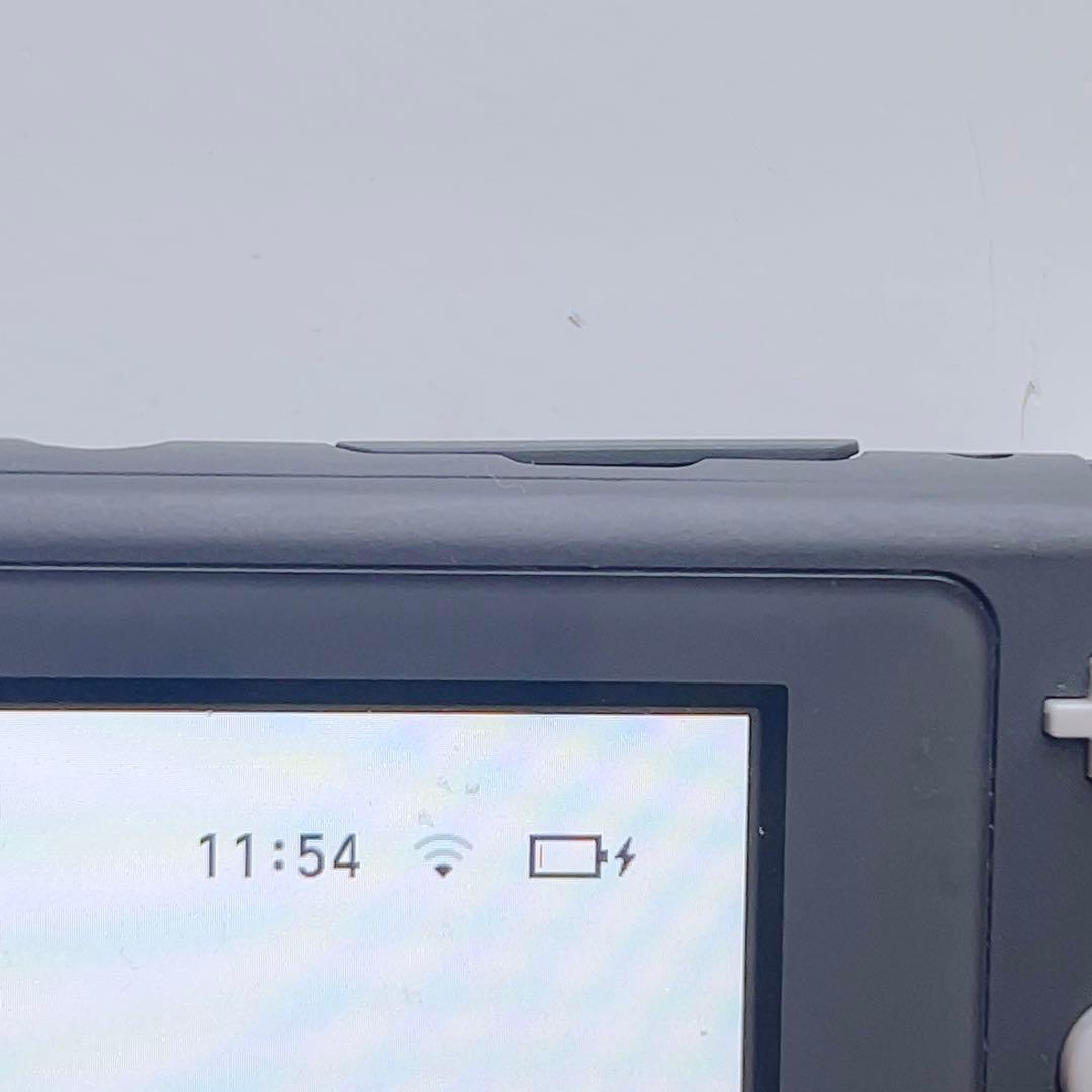 Nintendo Switch Lite グレー 本体 ジャンク