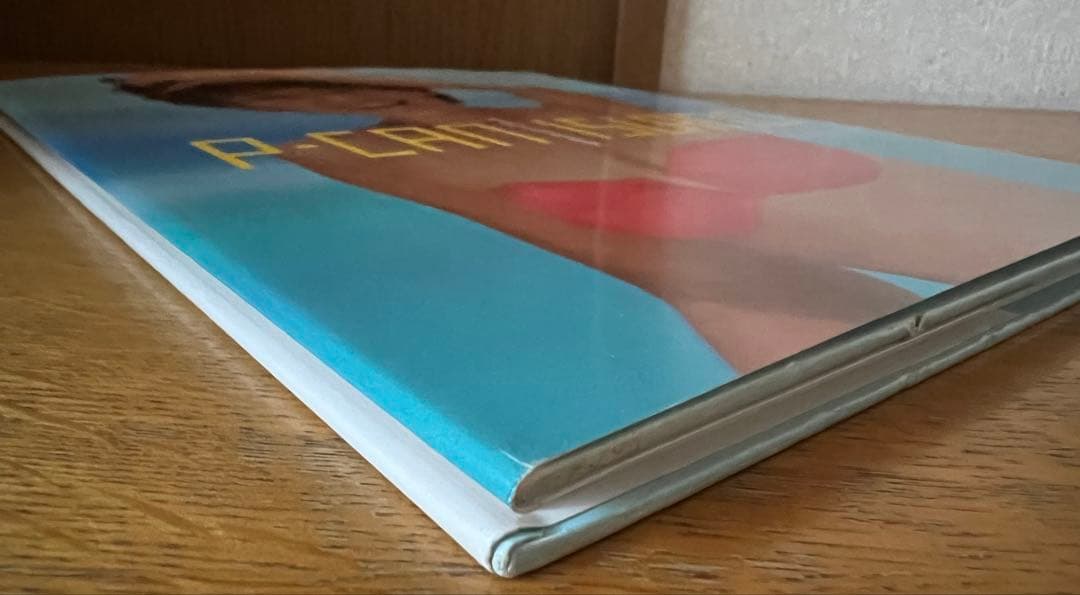 希少★西田ひかる写真集『P-CAN 』初版 永久保存版