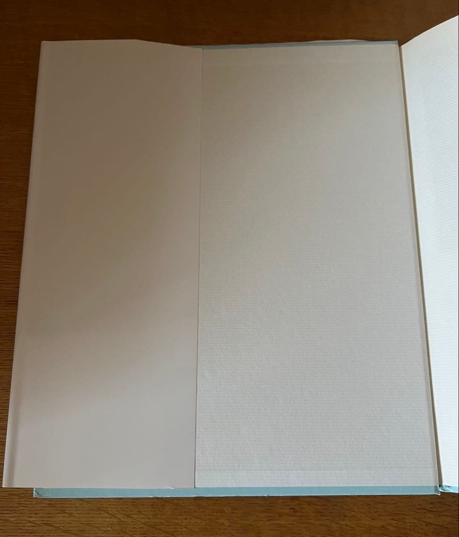 希少★西田ひかる写真集『P-CAN 』初版 永久保存版