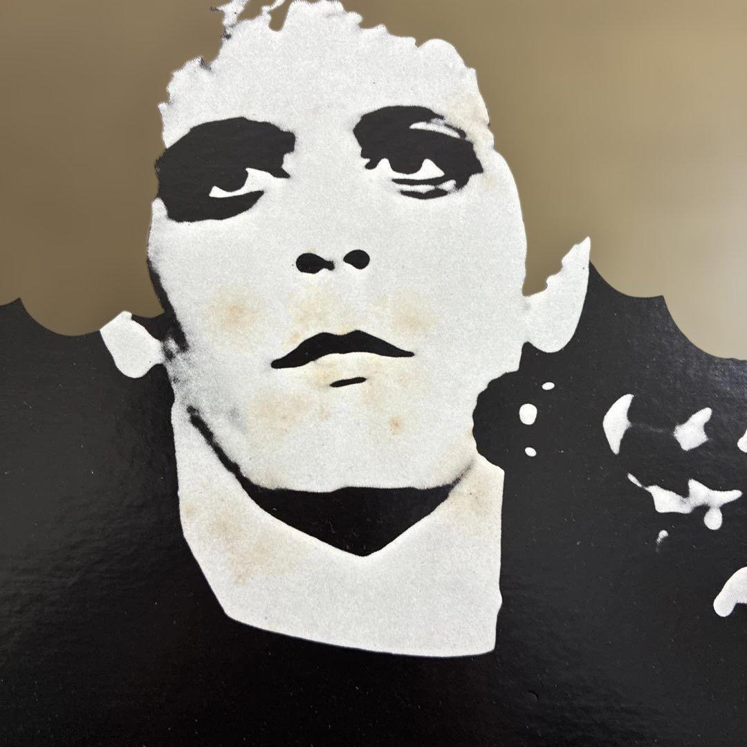 トランスフォーマー/ ルー・リード　 国内盤レコード　1978年