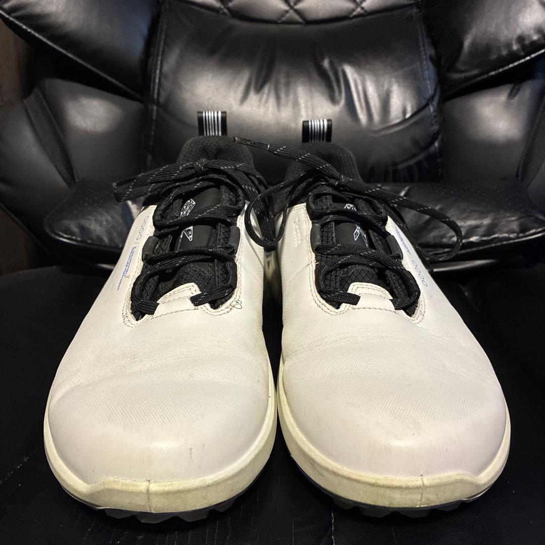 シューズ(男性用) ECCO M GOLF BIOM H4