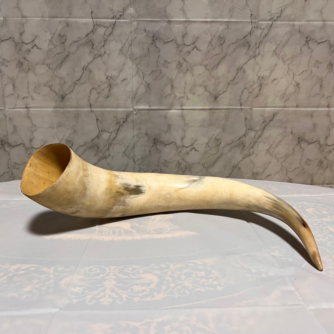 ⏱SALE！テキサスロングホーン　牛　角　バッファロー　スカル アメリカン