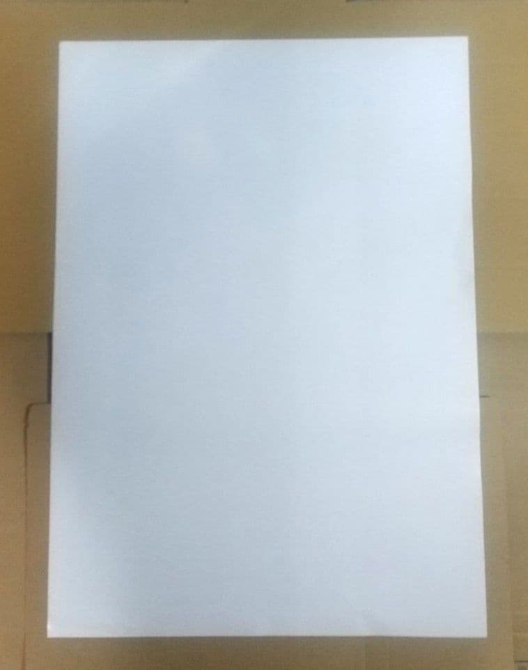 タツノコ VS. カプコン アルティメットオールスターズ ポスター Wii