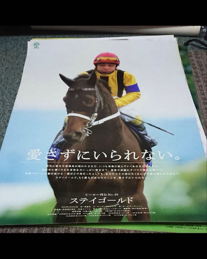 ヒーロー列伝　ステイゴールド B2