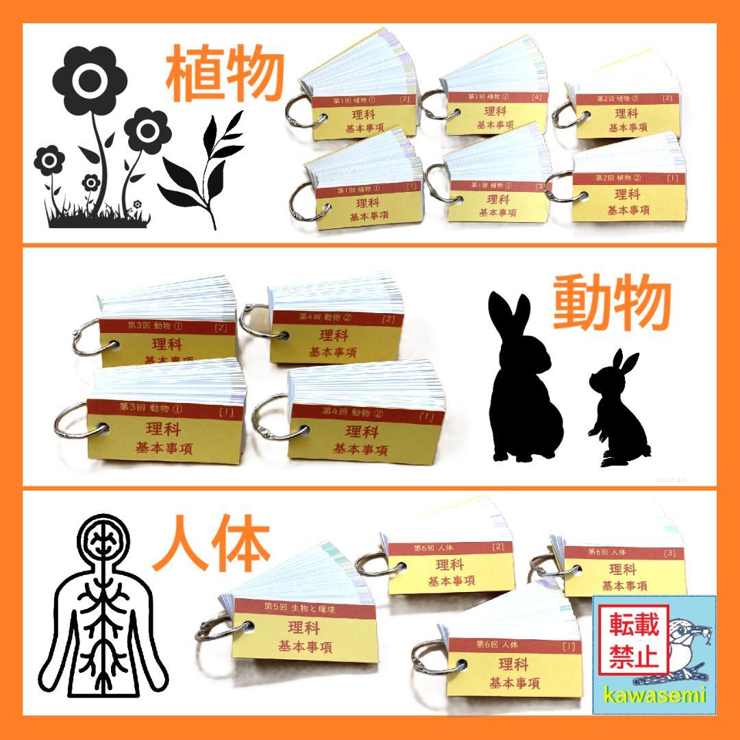 【中学受験】理科の基本事項 知識編 理科 暗記カード フルセットb