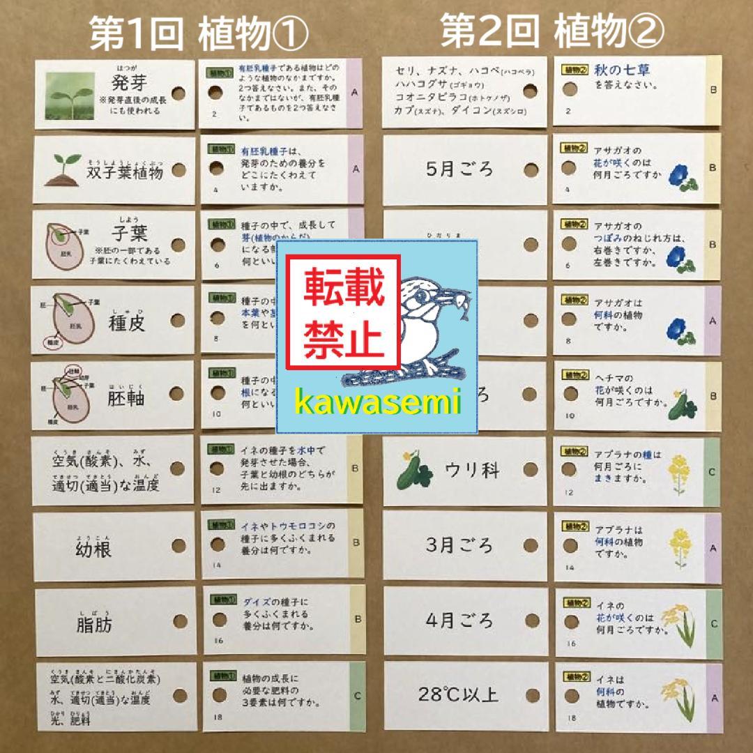 【中学受験】理科の基本事項 知識編 理科 暗記カード フルセットb