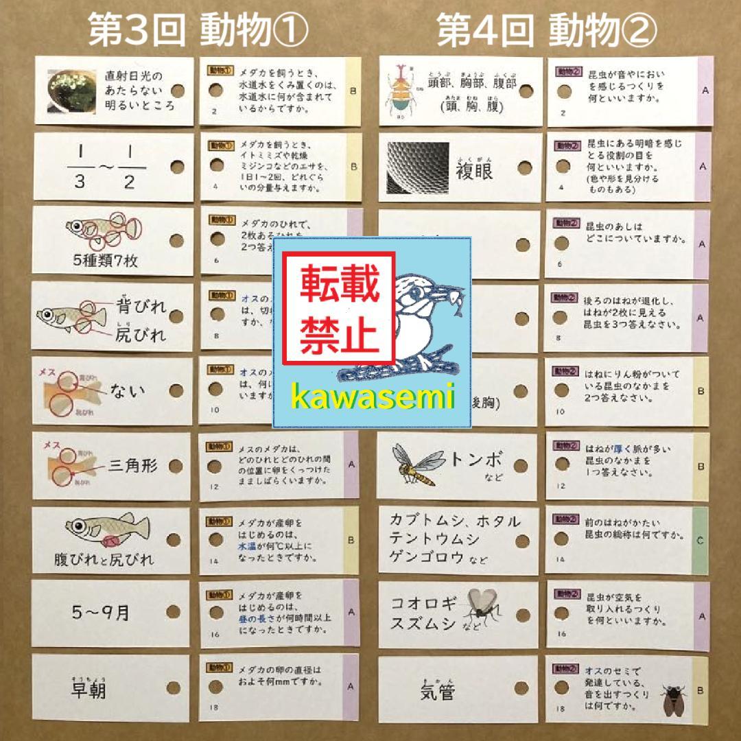 【中学受験】理科の基本事項 知識編 理科 暗記カード フルセットb