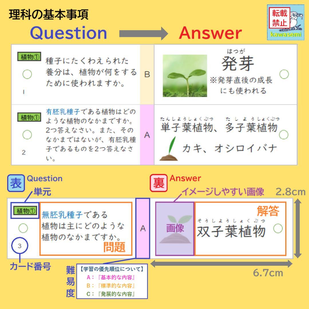 【中学受験】理科の基本事項 知識編 理科 暗記カード フルセットb