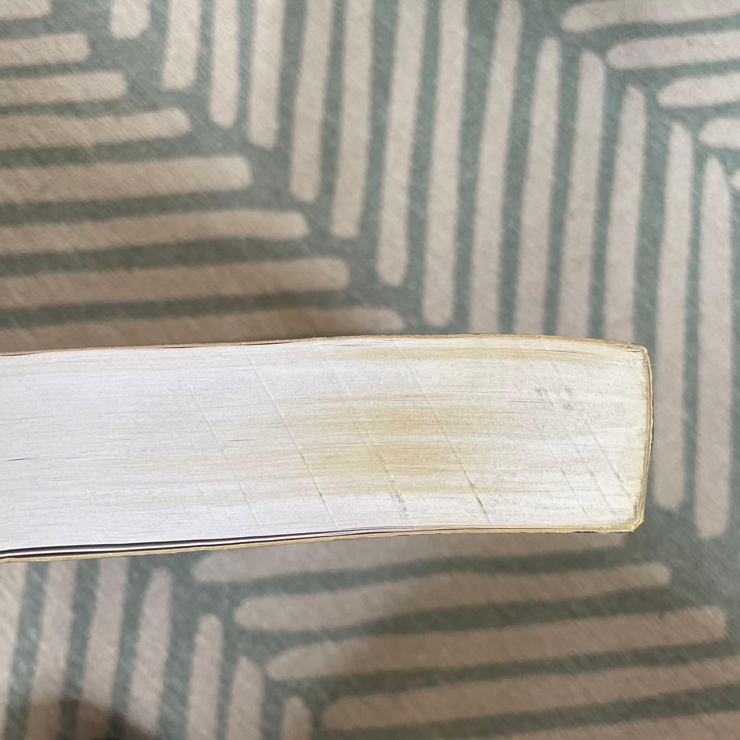 The History of Saudi Arabia　洋書