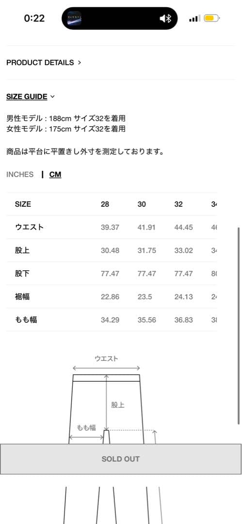 Stussy Cargo Pant ウッドランドカモ　完売品