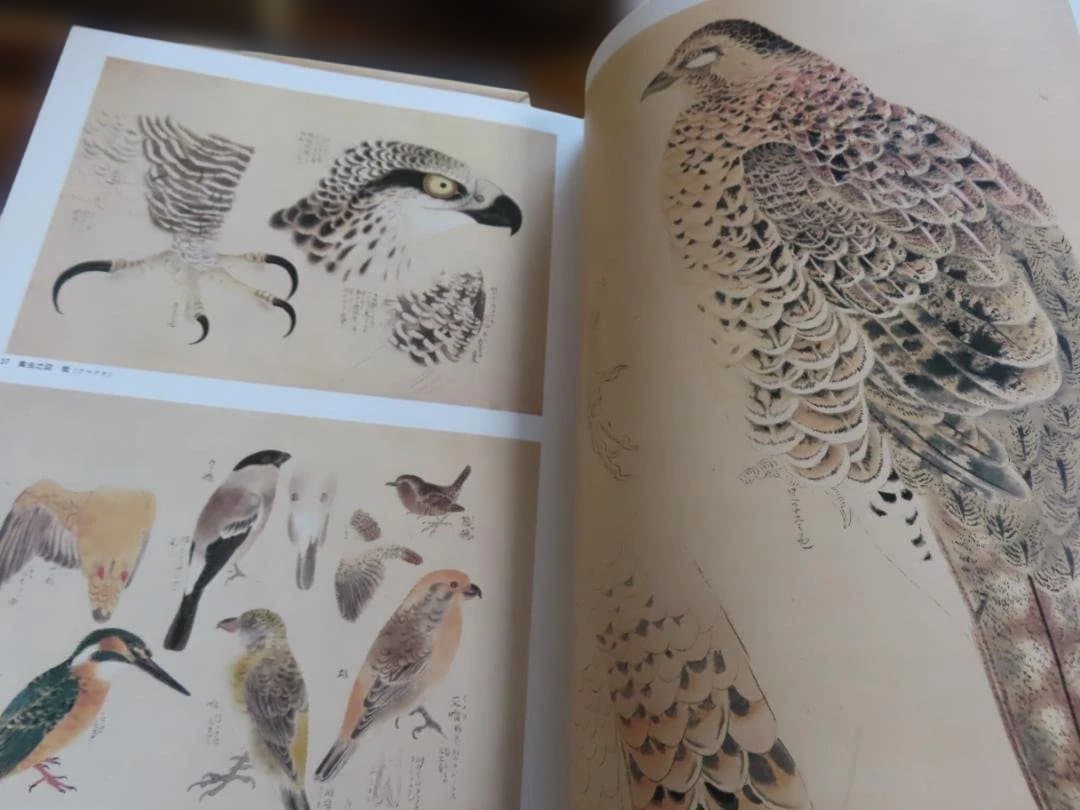 古書　応挙写生画集　初版