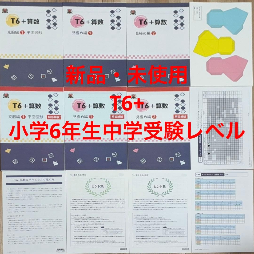 トイズアカデミー　T6+ 算数（小学6年生中学受験レベル）