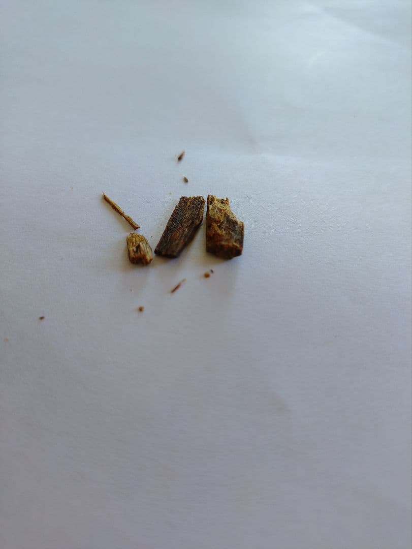 香道御香流　伽羅　香道　1点物